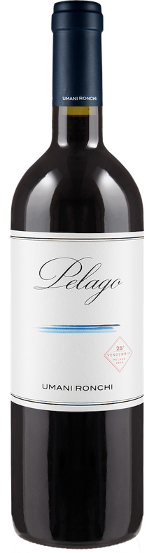 Pelago 2021